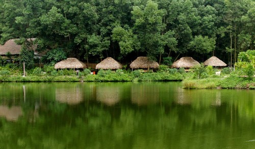 Thai Hai, le village du bonheur - ảnh 1