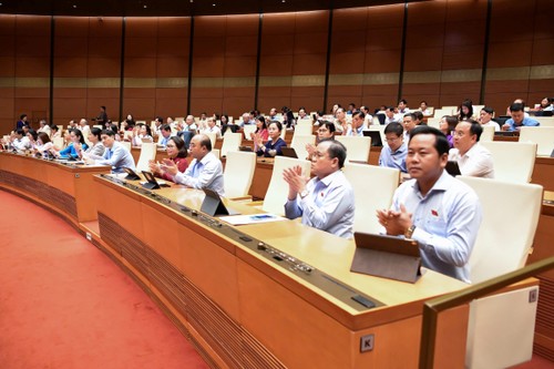 Le Vietnam adopte une loi sur la participation aux opérations de paix de l’ONU - ảnh 1