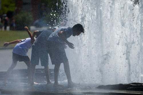 Canicule européenne: l'Europe de l'Est prend le relais de l'Ouest - ảnh 1
