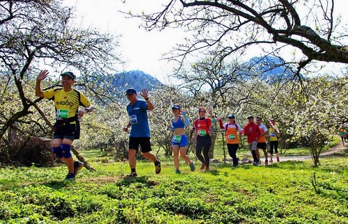 Son La mise sur un développement touristique ciblé et structuré - ảnh 1