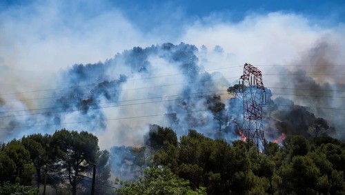 Violent incendie près de Marseille: 730 hectares ravagés  - ảnh 1