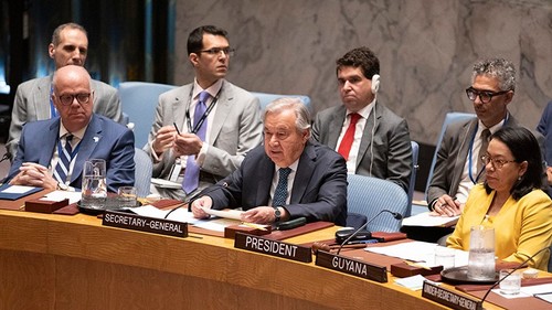 L’ONU réclame un arrêt des combats à Gaza - ảnh 1