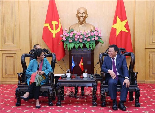 L’ONU met en avant l’expérience vietnamienne en matière de développement durable - ảnh 1