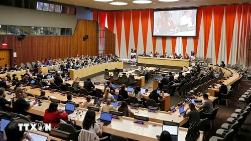 ONU Femmes adopte son plan 2026-2029 - ảnh 1