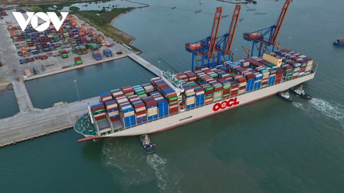 Hô Chi Minh-Ville mise sur le potentiel d’une mégapole maritime - ảnh 3