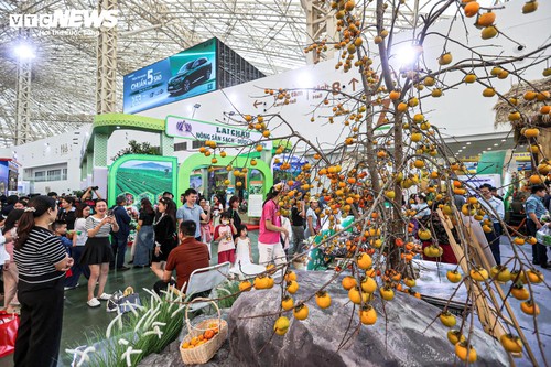 Forte affluence au Salon d’Automne 2025 à Hanoï - ảnh 2