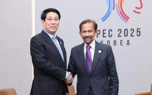 Le Sultan de Brunei attendu au Vietnam pour une visite d'État  - ảnh 1