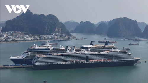 Quang Ninh accueille 19,8 millions de visiteurs en onze mois - ảnh 1