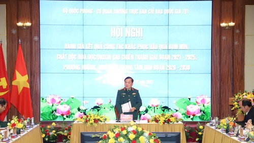 Près de 188.000 hectares déminés en cinq ans au Vietnam - ảnh 1