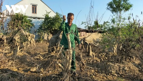 Thai Nguyên: Le royaume des pêchers renaît à l’approche du Têt - ảnh 2