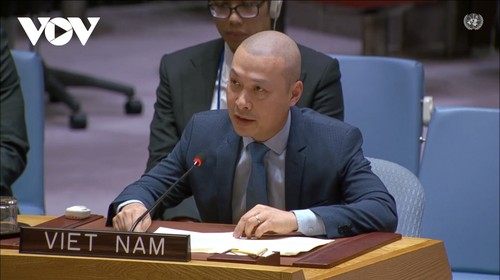 Le Vietnam se dit prêt à contribuer à la paix et à la reconstruction de Gaza - ảnh 2