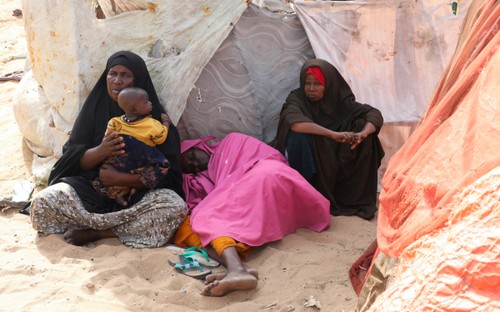 L'Organisation des Nations Unies alerte sur l'aggravation de la crise humanitaire en Somalie due à la sécheresse - ảnh 1