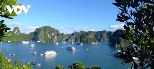 Starlink installera 10 émetteurs en baie d’Ha Long - ảnh 1