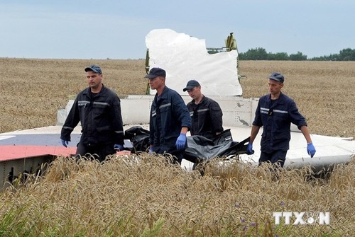 Экспертам будет обеспечена безопасность на месте крушения малайзийского самолёта - ảnh 1