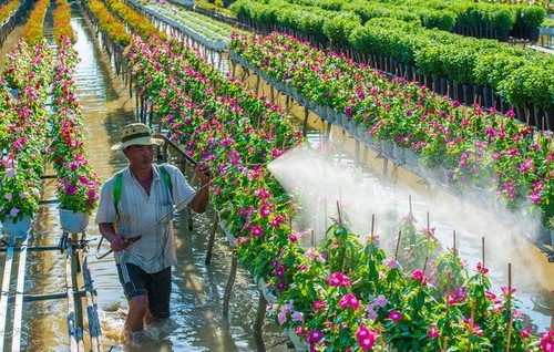 Весенняя атмосфера в цветочной деревне Шадэк - ảnh 6