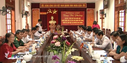 Tong Thi Phong en déplacement à Nghê An - ảnh 1