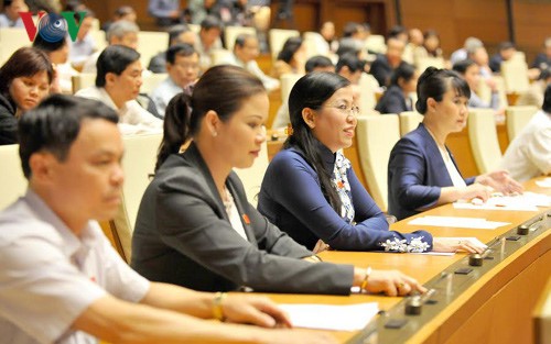 L’Assemblée nationale adopte la loi d’assistance aux PME - ảnh 1