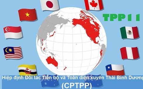 Pour profiter pleinement les retombées du CPTTP - ảnh 1