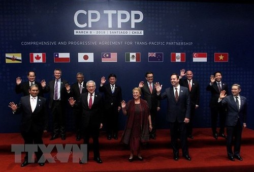 Le CPTPP apportera des intérêts économiques directs au Vietnam - ảnh 1