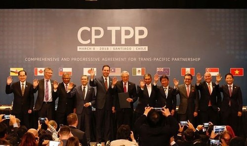 Les entreprises se préparent à l’entrée en vigueur du CPTPP - ảnh 1