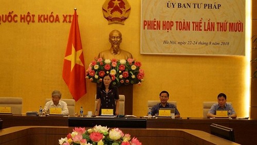 Session plénière de la Commission judiciaire de l’Assemblée nationale - ảnh 1