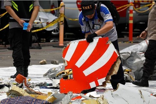 Accident d'avion en Indonésie: les plongeurs continuent de repêcher des débris  - ảnh 1