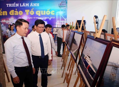 Danang : Exposition « La mer et les îles » - ảnh 1