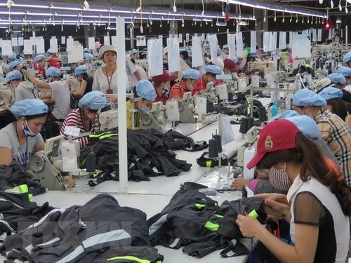 Le Vietnam a des avantages dans le commerce avec le Canada - ảnh 1