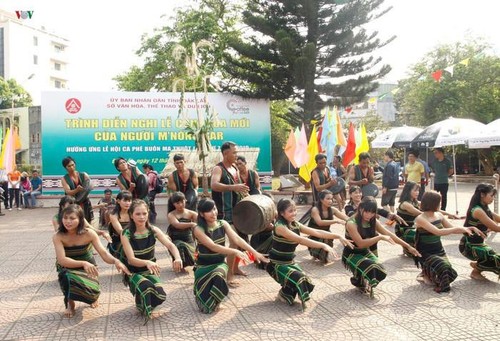 La fête du riz nouveau des M’nông Gar - ảnh 2