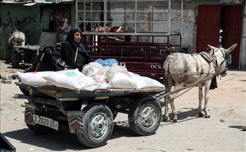 Le manque de fonds menace l'aide alimentaire pour les Palestiniens - ảnh 1