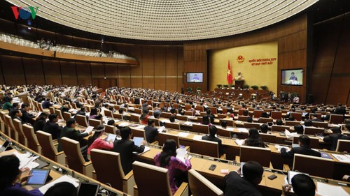 Assemblée nationale : deuxième semaine de travail  - ảnh 1