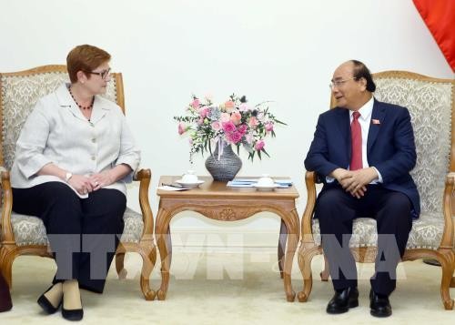 Marise Payne reçue par Nguyên Xuân Phuc - ảnh 1