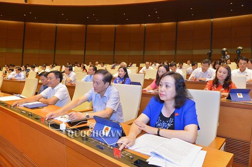 L’Assemblée nationale adopte des résolutions et projets de loi importants - ảnh 1