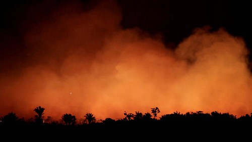 Emmanuel Macron s'inquiète des incendies en Amazonie  - ảnh 1