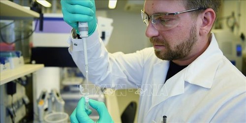 Le G20 lance une initiative pour les outils de santé nécessaires pour lutter contre le coronavirus - ảnh 1