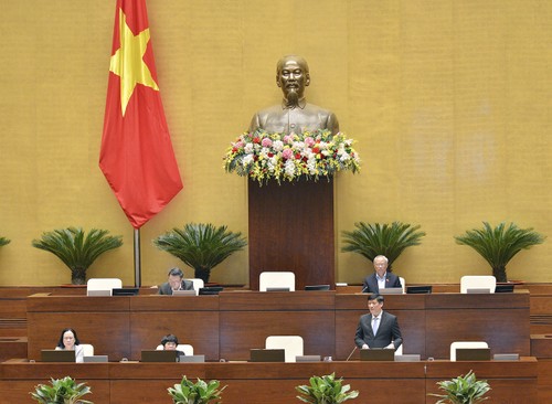 Assemblée nationale: débat sur la loi sur la prévention et la lutte contre le sida - ảnh 1