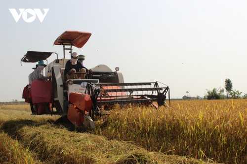 Le cinquième festival du riz vietnamien à Vinh Long - ảnh 1