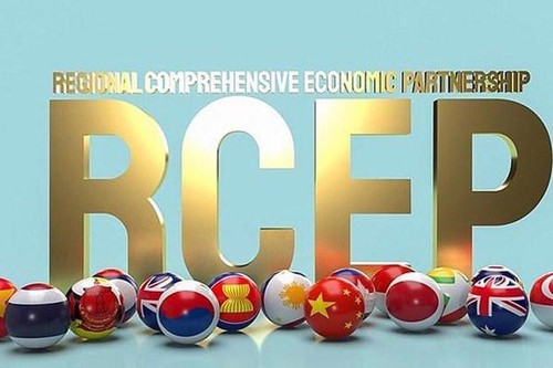 Approbation du plan sur la mise en oeuvre du RCEP - ảnh 1