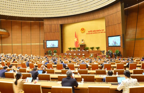 Assemblée nationale: suite de la session extraordinaire     - ảnh 1