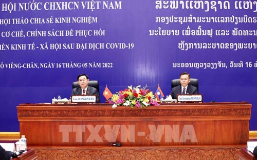 Vietnam et Laos: partage d’expérience pour le développement socioéconomique postCovid-19 - ảnh 1