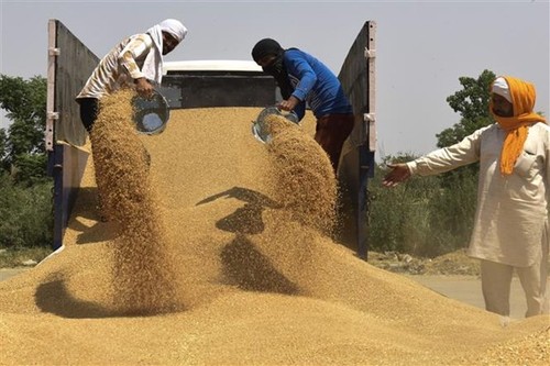 L’ONU appelle les nations à agir ensemble pour mettre fin à la crise de l'insécurité alimentaire - ảnh 1