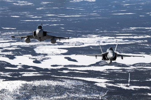 La Finlande et la Suède participent à l'exercice conjoint de l'Otan - ảnh 1