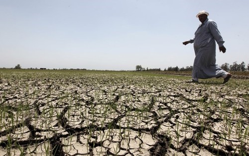 Climat: les pays riches n'ont pas atteint leurs objectifs de financement, pointe l'OCDE - ảnh 1