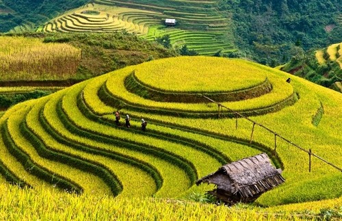 Baie d’Ha Long et Mu Cang Chai parmi les destinations les plus colorées du monde - ảnh 1