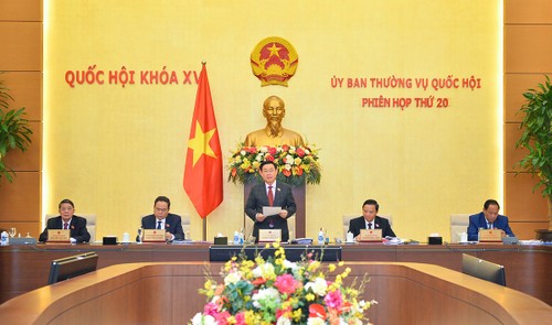 Ouverture de la 20e session du comité permanent de l’Assemblée nationale - ảnh 1