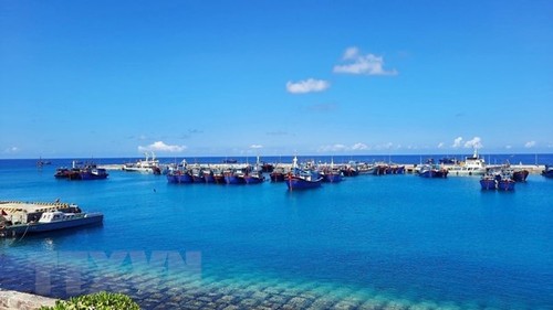 L’Association de la pêche du Vietnam proteste contre l’interdiction de pêche imposée par la Chine en mer Orientale - ảnh 1