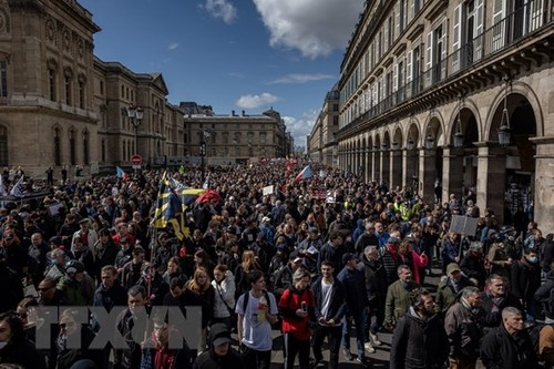 France: le Conseil constitutionnel rejette une demande de référendum - ảnh 1