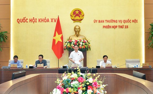 Clôture de la 23e session du comité permanent de l’Assemblée nationale - ảnh 1