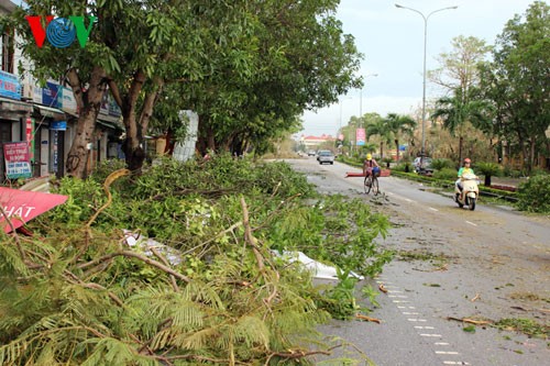 Đồng Hới, Quảng Bình tan hoang sau bão số 10 - ảnh 14