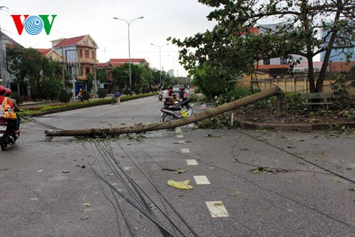 Đồng Hới, Quảng Bình tan hoang sau bão số 10 - ảnh 2